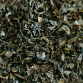 Organic Spearmint | Wholesale