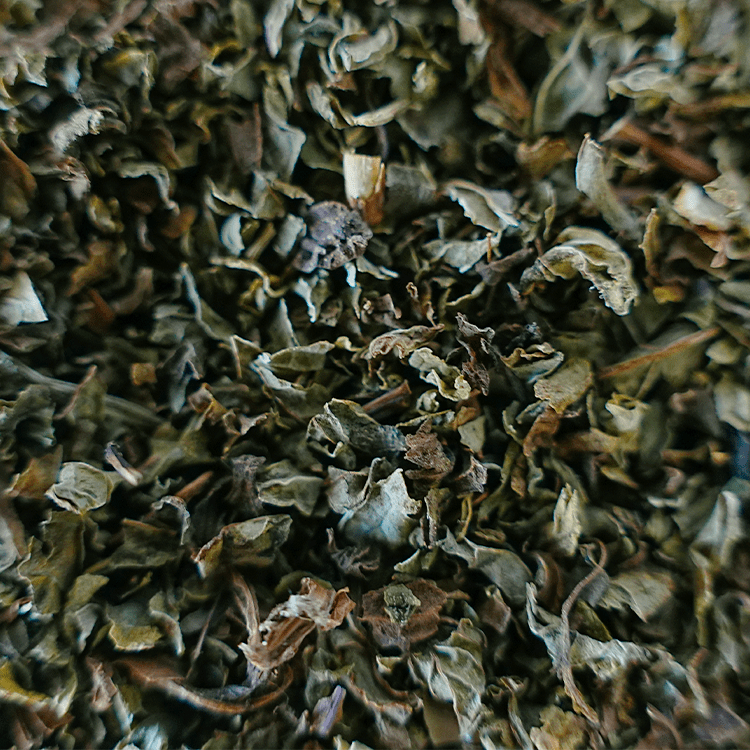 Organic Spearmint | Wholesale